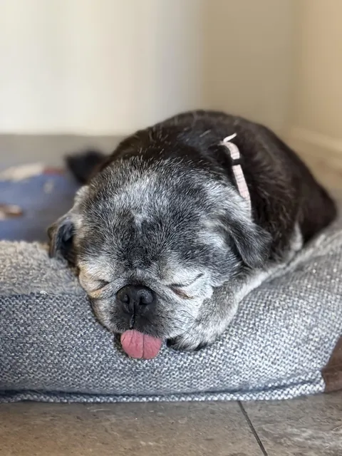 My old guy (forever a baby in my eyes)