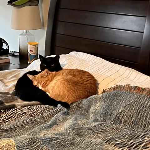 Our bonded pair: Peeta &amp; Katniss