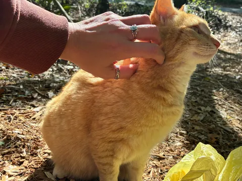 Meet Georgie everyone- A trailhead ambassador!