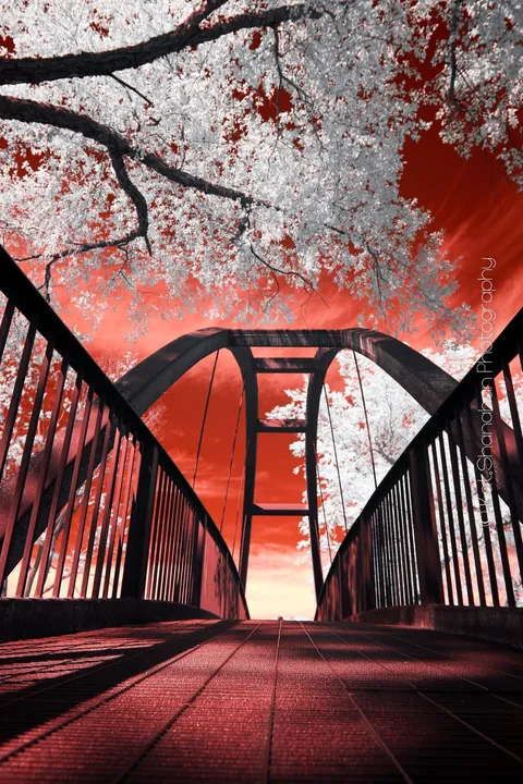 ITAP of a bridge with my IR camera.