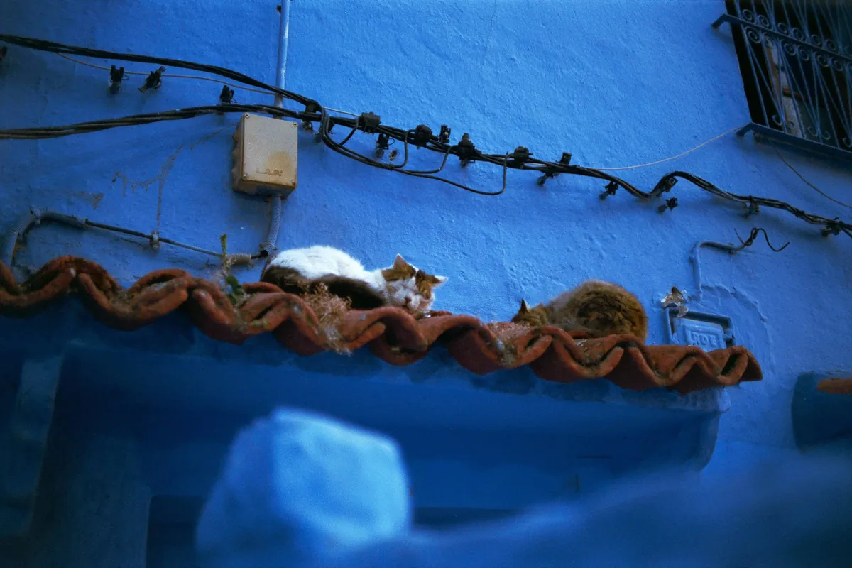 Enjoying the slow life in Chefchaouen, Morocco