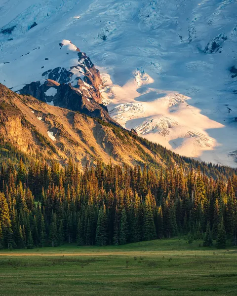 From Meadow to Glacier, Golden Hour, Mount Rainier NP [4672x5840][OC]