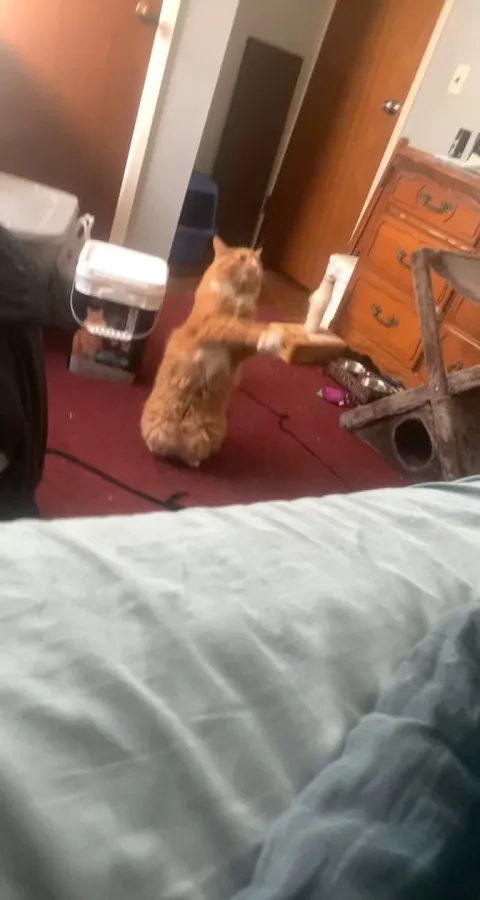 I love this guy to death, he’s such a little weirdo