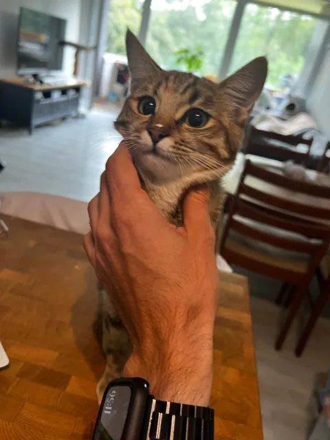 I wasn’t paying attention for literally 5 seconds 💀