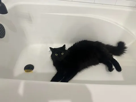 Tub time with my son