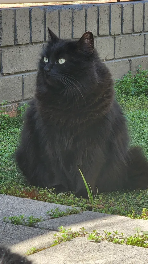 The world's prettiest triangle 