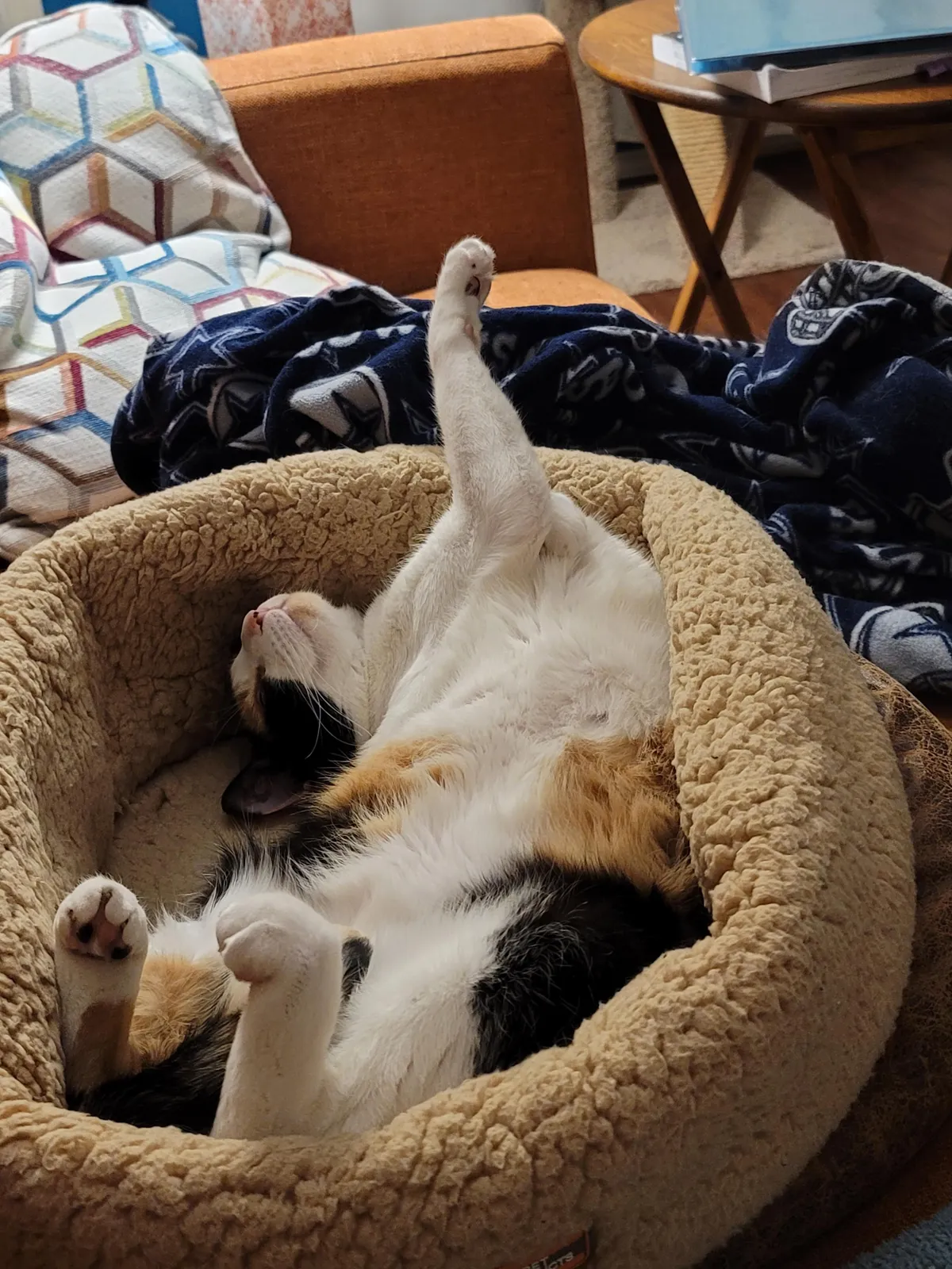 I envy how soundly she sleeps