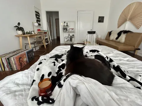 Typical Sunday morning in my studio apartment ☕️