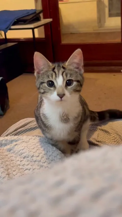 Still cute - 3 vs 8 months