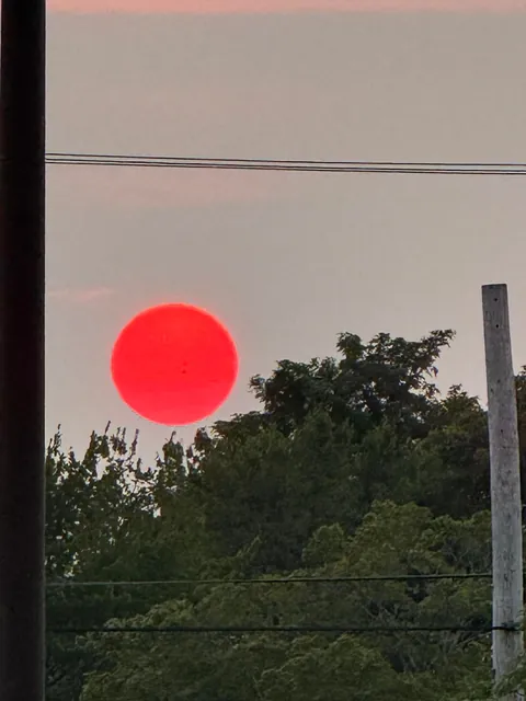 Believe I photographed a sun spot using my phone?