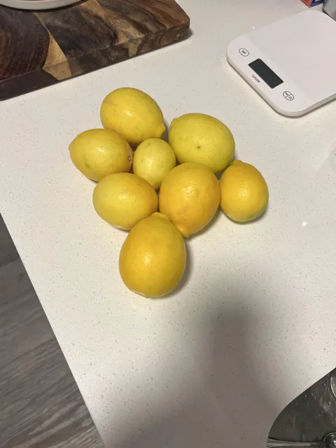Our first harvest of lemons from our dwarf Meyer Lemon tree!