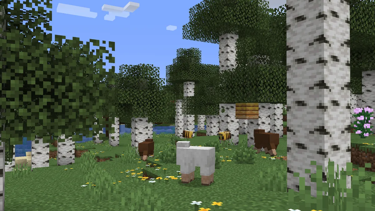 This is the udpate I always wanted for this game.