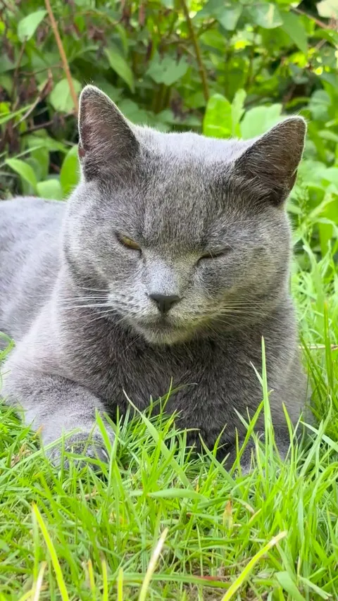 Maybe I’m biased but I think he’s so handsome