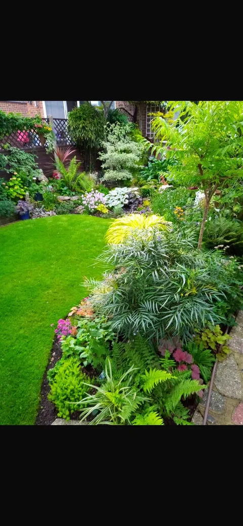 My garden :) UK