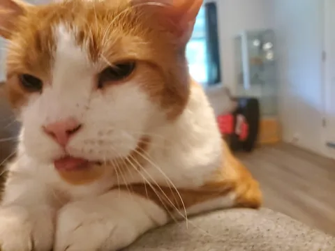 Our old man George 🌈