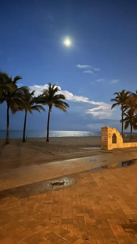 Photo I took of sunset in Florida looks like Hollywood set background 