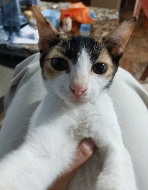 This girl is 7 years old and hasn't made a move to have children