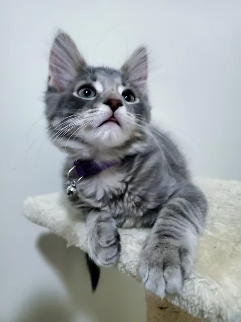 "You won't want to deal with it"