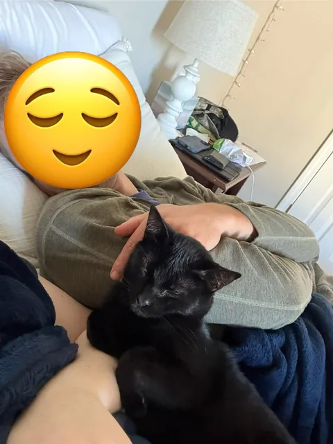 Can cats sense when you’re injured?