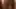 A good boy's POV