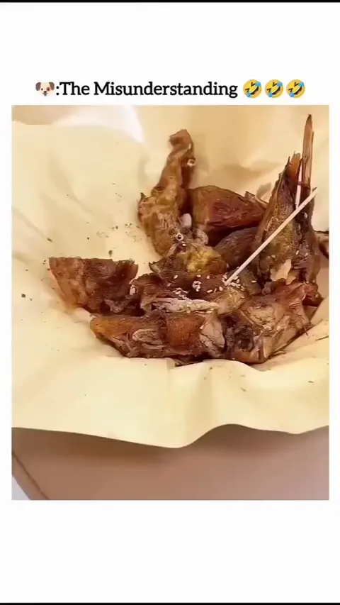 Lost faith in humanity