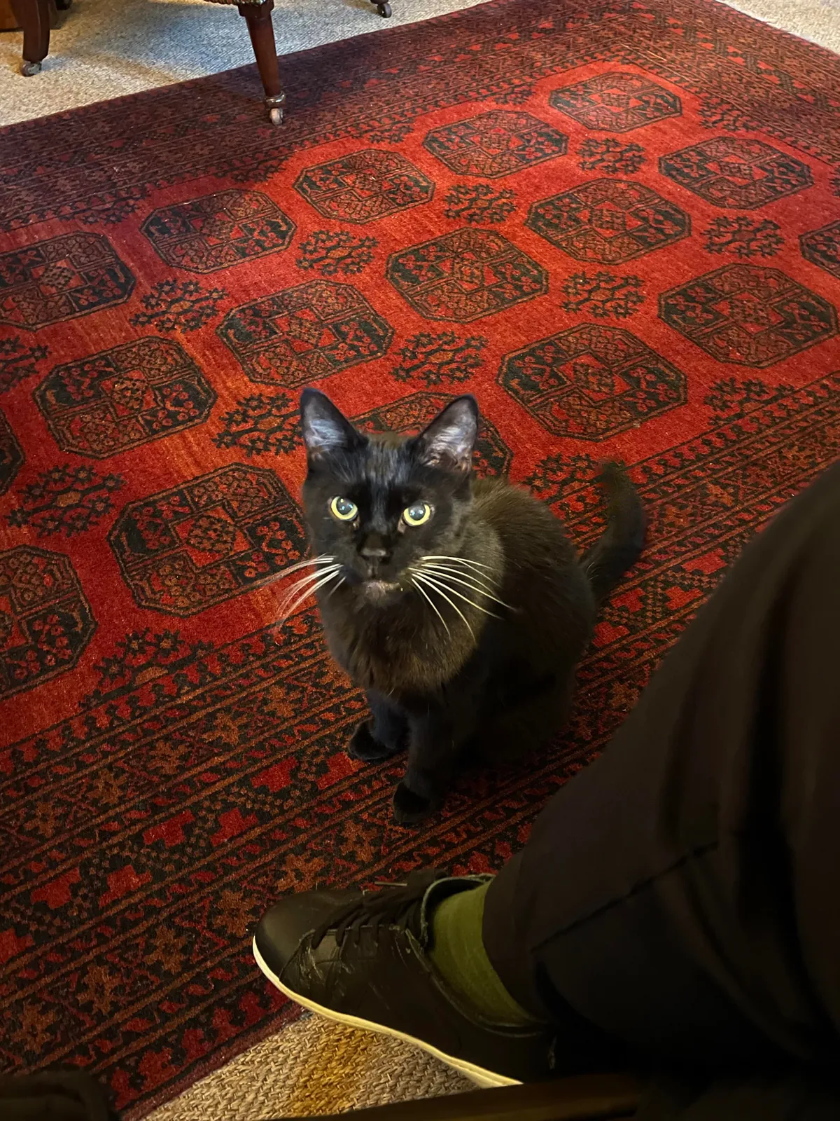 Another concierge at the London hotel