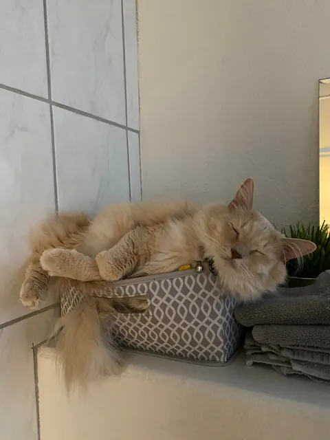 Gahwd I love him 💕