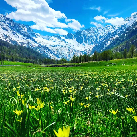 First day in the nature after the lock down, Italy [OC] [4032x3024]