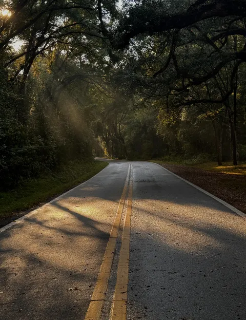 The lighting on this road after a rain shower