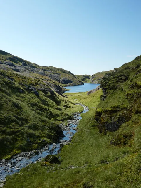 A stream among many, Norheimsund mountains, Norway [OC][1500x2000]