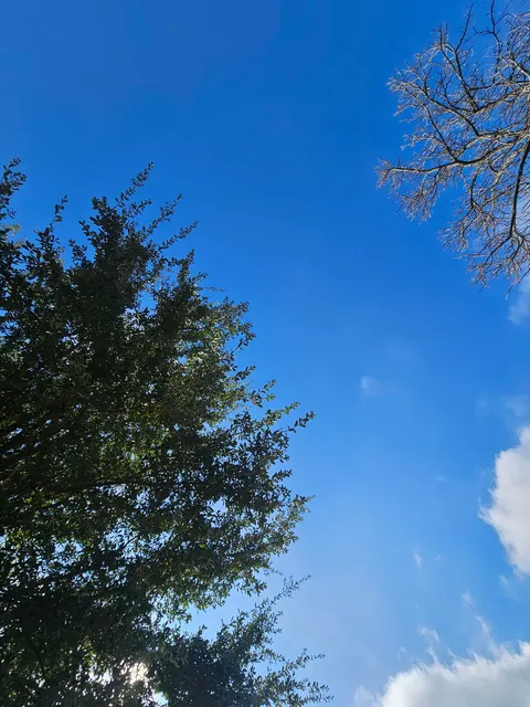 Somehow, I spotted a rocket booster from 1983 with the naked eye today.