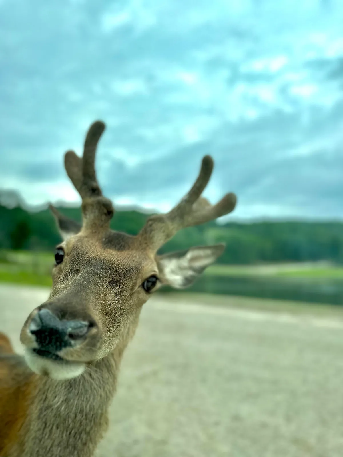 Montreal - huge city, small town vibe!