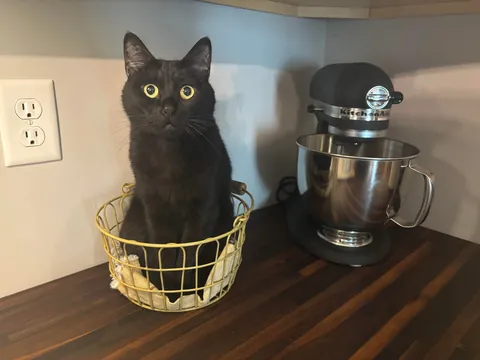 7 years with my Middle Eastern girl