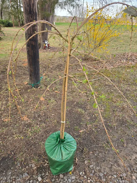 I got the deal of the year!!! 20 bucks