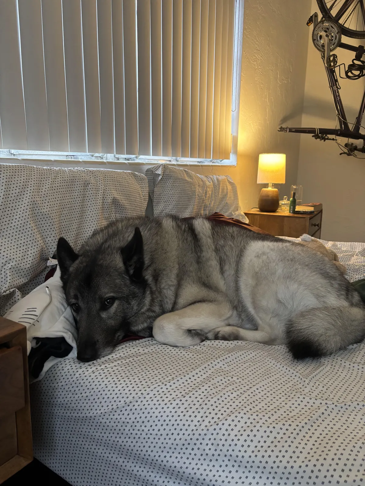 About 20 mins into the workday, figured he’s completely forgotten