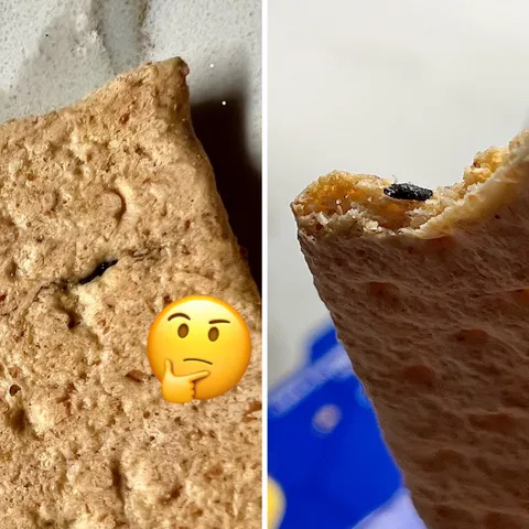 I noticed a strange fleck in my new Graham Crackers. It’s a mouse turd baked INTO it.