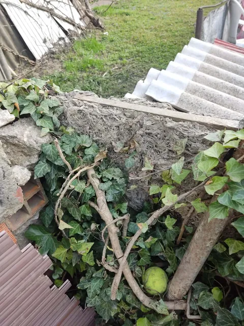 Just found out i have asbestos in my fence and my dog has been standing and scratching it for 2 years.