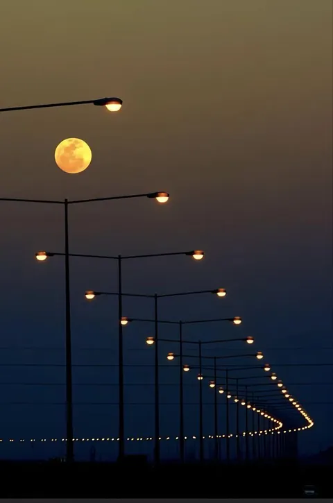 The way these lights look