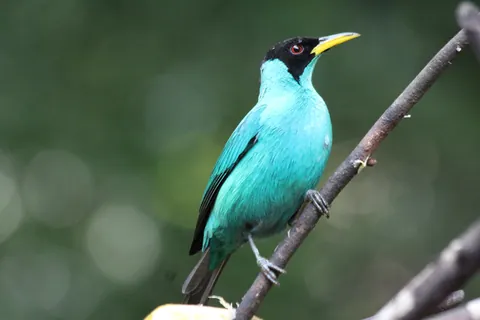 Short but sweet trip to Belize