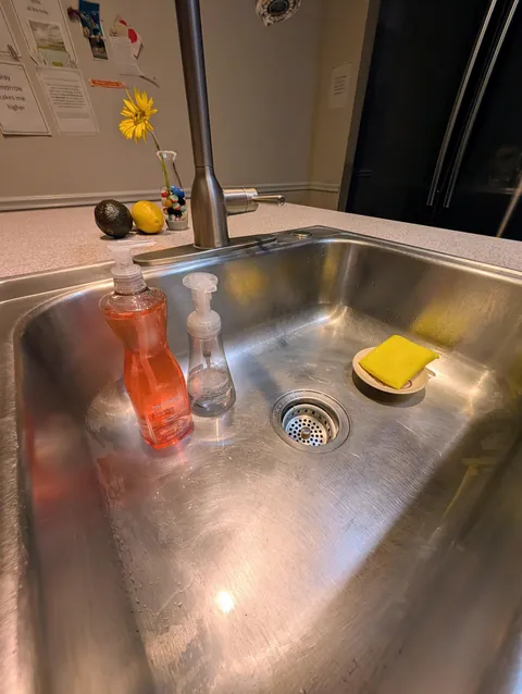 My girlfriend INSISTS on keeping these things IN the sink. (I prefer to keep them OUTSIDE the sink). A minor thing, but I just don't understand!?! (2 pics here--her preference and my preference)