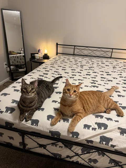 Love these guys. Posted them on here once before but had to share again