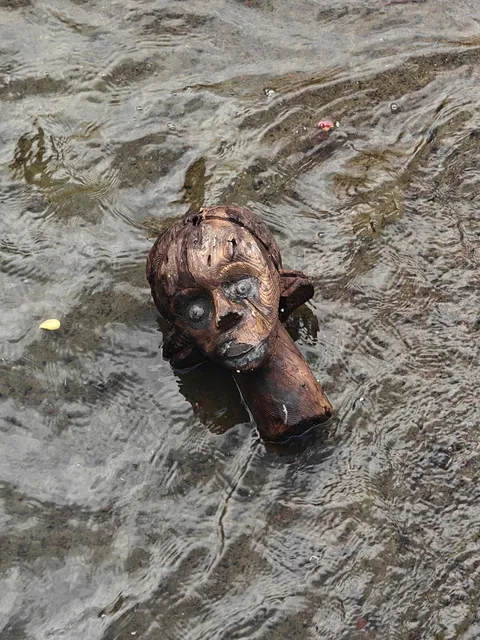 This head I found in the canal