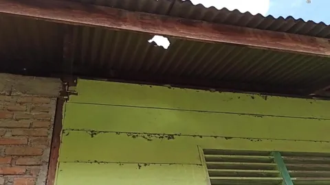 A meteorite punched a hole in his roof and was sold for a fortune