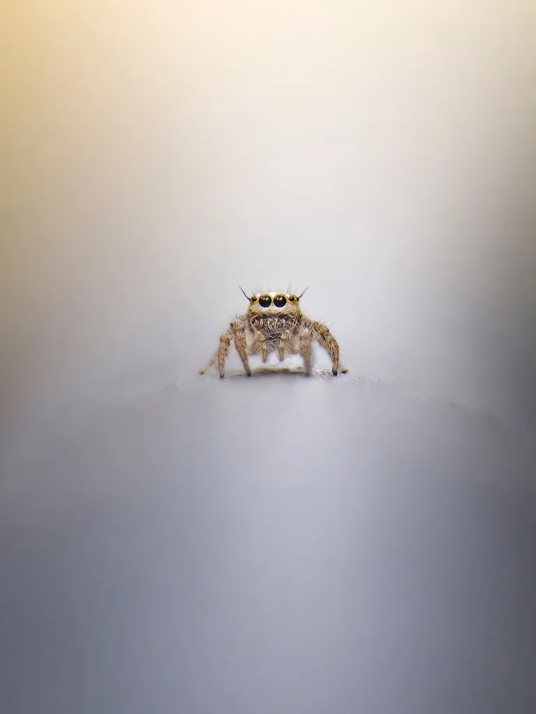 Photographer shows his POV vs the photos he takes.