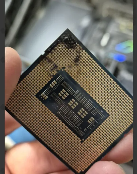 intel 13900k fried...