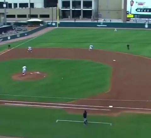 Reflexes on catching a foul ball