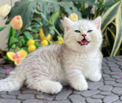 such a photogenic angel🤍