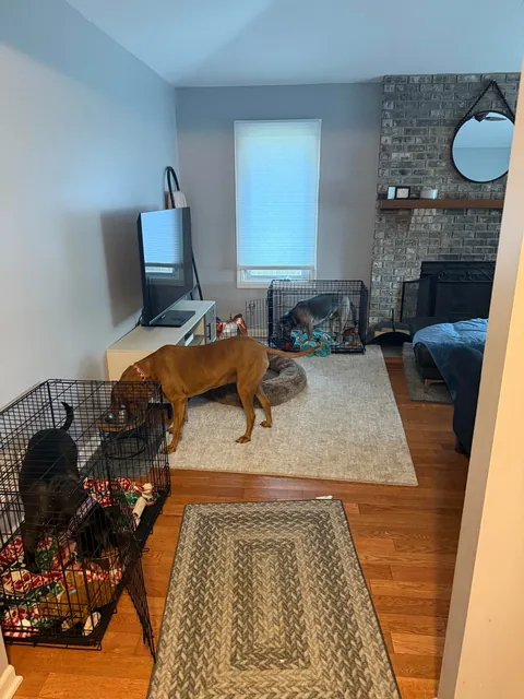 One last Waffles update here!🩷