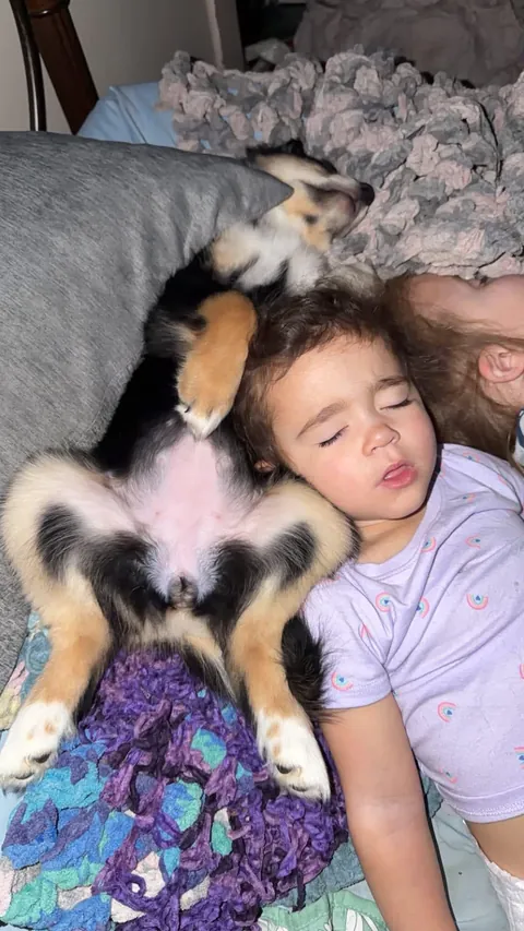 Scouts first night with us..I’d say she’s happy 😭💜