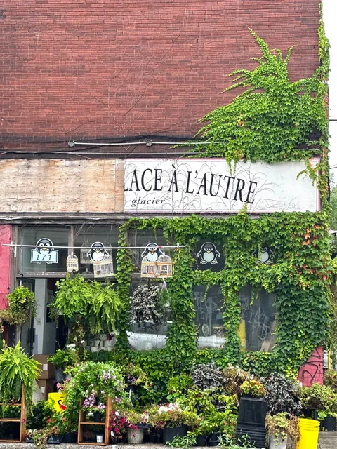 Montreal - huge city, small town vibe!